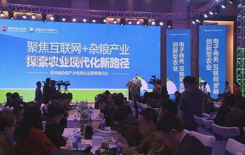 马斯克党：创新引领，重塑未来治理新蓝图